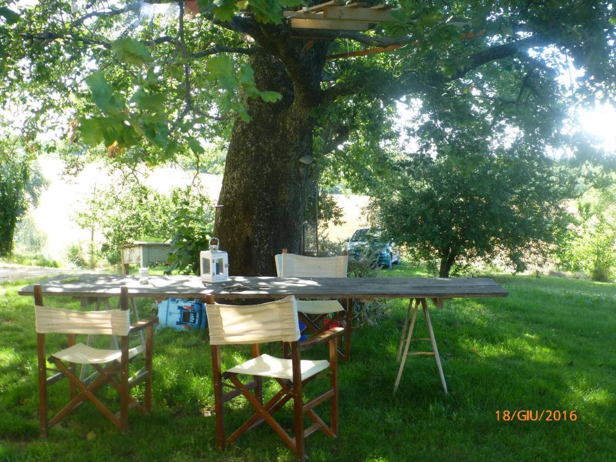 Casa Della Casa Leilighet San Severino Marche Eksteriør bilde