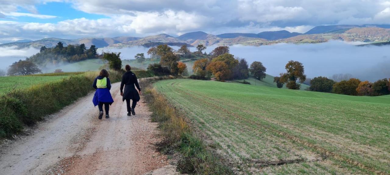 Casa Della Casa Leilighet San Severino Marche Eksteriør bilde