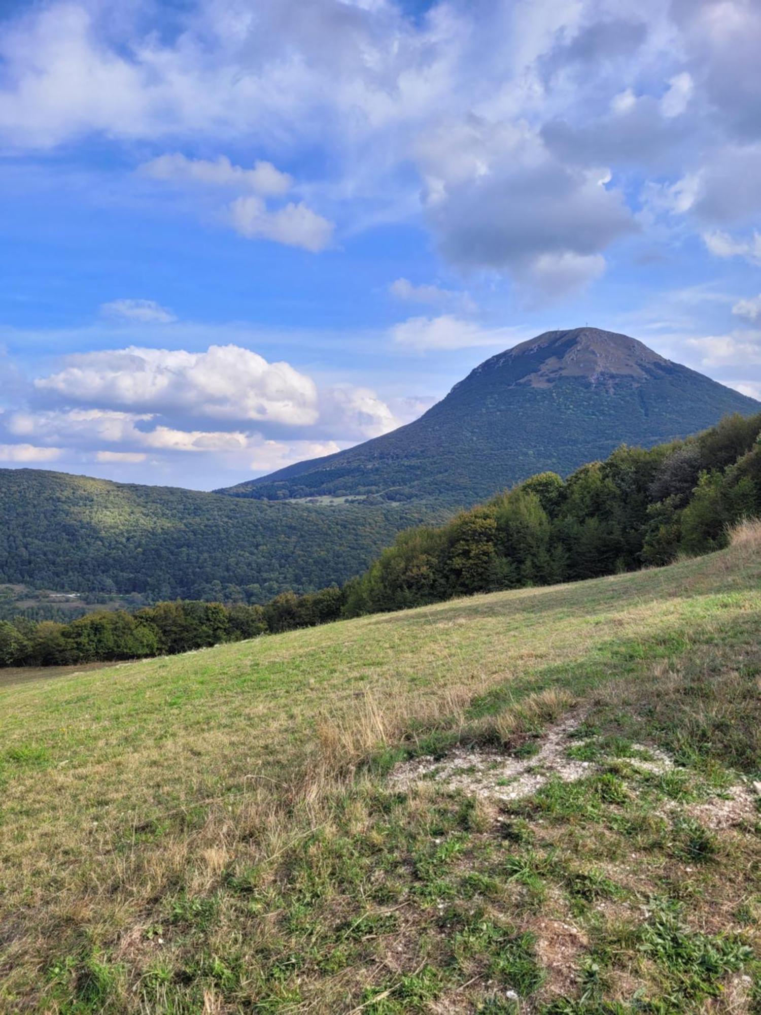 Casa Della Casa Leilighet San Severino Marche Eksteriør bilde