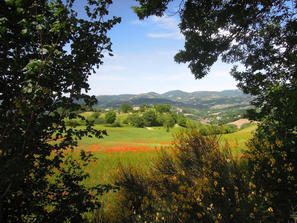Casa Della Casa Leilighet San Severino Marche Eksteriør bilde